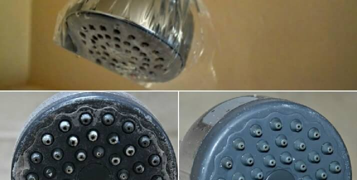 Vinegar Can Revitalize Shower-Heads